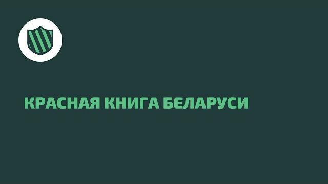 Красная книга Беларуси | 12+ Красная книга Беларуси | 12+