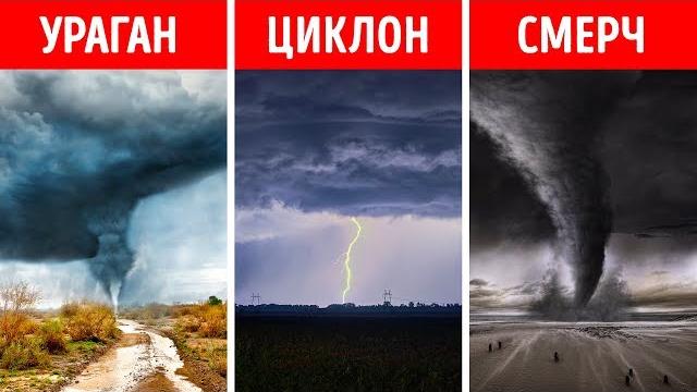 Ураган, смерч, циклон – в чем разница? Ураган, смерч, циклон – в чем разница?