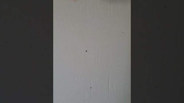 КЛЕИТЬ СРАЗУ ОБОИ ИЛИ ШПАКЛЁВАТЬ? КЛЕИТЬ СРАЗУ ОБОИ ИЛИ ШПАКЛЁВАТЬ?