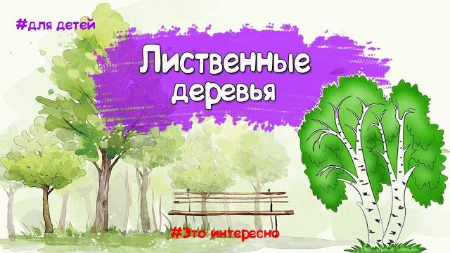 About trees for children. What are the trees? About trees for children. What are the trees?