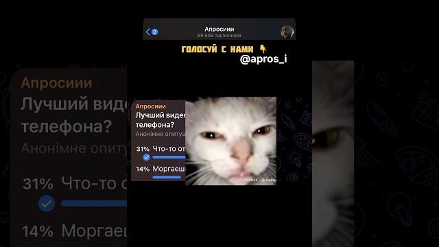Лучший видеопранк на экране телефона? Лучший видеопранк на экране телефона?