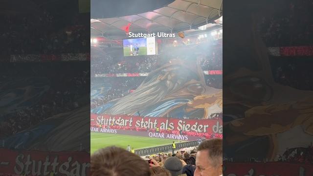 #football #vfbstuttgart #psg #parissaintgermain #choreography #championsleague #ultras #fans #fyp #football #vfbstuttgart #psg #parissaintgermain #choreography #championsleague #ultras #fans #fyp