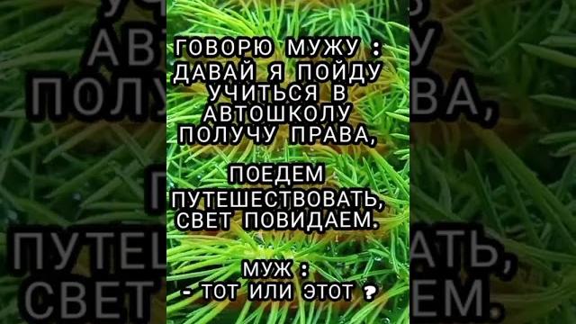 анекдот про путешествия, смешные анекдоты #139, анекдот, шутки, юмор, приколы, лучшие анекдоты, юмор анекдот про путешествия, смешные анекдоты #139, анекдот, шутки, юмор, приколы, лучшие анекдоты, юмор