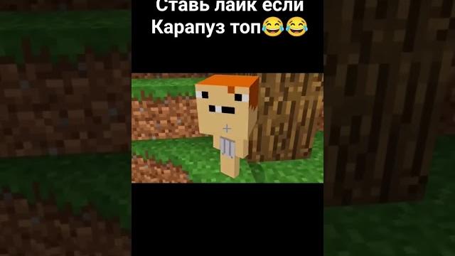 Владус и карапуз Владус и карапуз