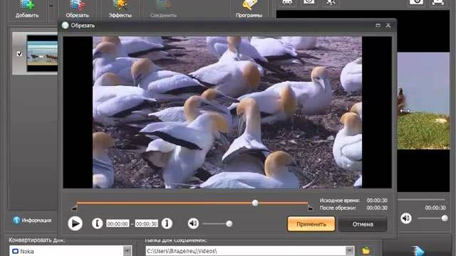 Конвертер видео в 3gp Конвертер видео в 3gp