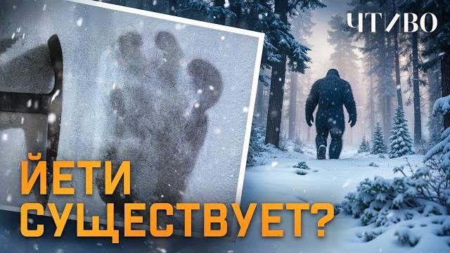 Снежный человек: Есть ли он на самом деле? @chtivomag Снежный человек: Есть ли он на самом деле? @chtivomag