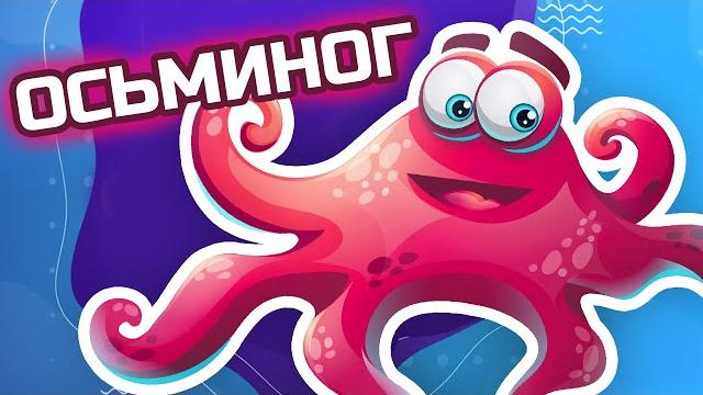 Животные - Морские обитатели - Осьминог Животные - Морские обитатели - Осьминог