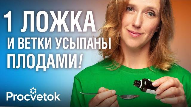 ЯБЛОНЯМ И ГРУШАМ ЭТО НУЖНО ВЕСНОЙ КАК ВОЗДУХ! Первая и самая важная подкормка плодовых деревьев ЯБЛОНЯМ И ГРУШАМ ЭТО НУЖНО ВЕСНОЙ КАК ВОЗДУХ! Первая и самая важная подкормка плодовых деревьев