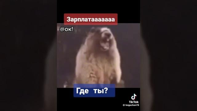 прикол про зарплату #tiktok #приколы #зарплата прикол про зарплату #tiktok #приколы #зарплата