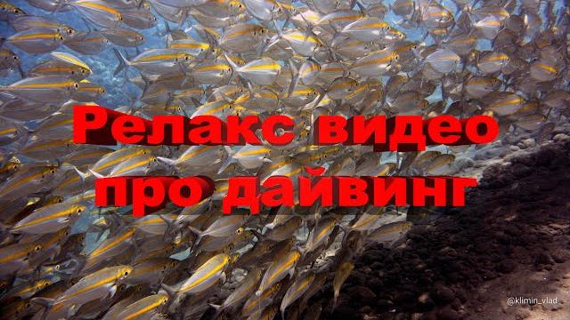 #релакс #дайвинг #scubadiving Дайвинг. Расслабляющая музыка и красивое видео про подводный мир #релакс #дайвинг #scubadiving Дайвинг. Расслабляющая музыка и красивое видео про подводный мир