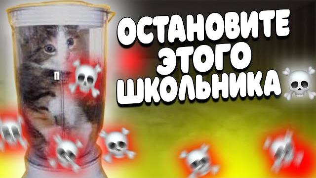 КОТ В БЛЕНДЕРЕ - УЖАСЫ ИНТЕРНЕТА КОТ В БЛЕНДЕРЕ - УЖАСЫ ИНТЕРНЕТА