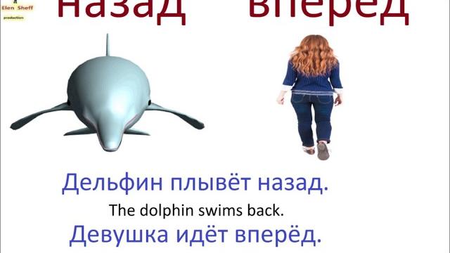 № 56 russian prepositions for beginners № 56 russian prepositions for beginners