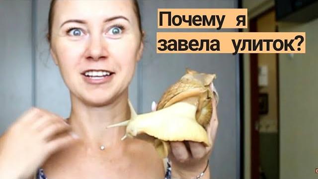 КАК Я ЗАВЕЛА УЛИТОК АХАТИН? Видео про улиток КАК Я ЗАВЕЛА УЛИТОК АХАТИН? Видео про улиток