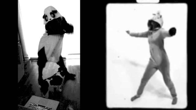 BATTLE: Miley Cyrus VS. Twerking Panda BATTLE: Miley Cyrus VS. Twerking Panda
