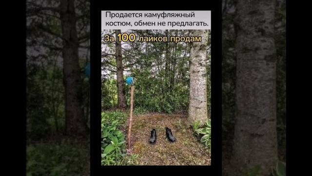 Камуфляж#мем Камуфляж#мем