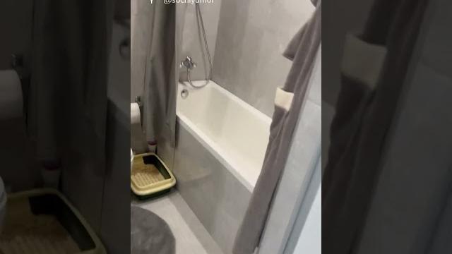 Зачем в квартире 2 туалета? Зачем в квартире 2 туалета?