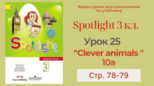 Spotlight 3 класс (Спотлайт 3) Английский в фокусе 3кл./ Урок 25 "Clever Animals!" 10a с.78-79 Spotlight 3 класс (Спотлайт 3) Английский в фокусе 3кл./ Урок 25 "Clever Animals!" 10a с.78-79