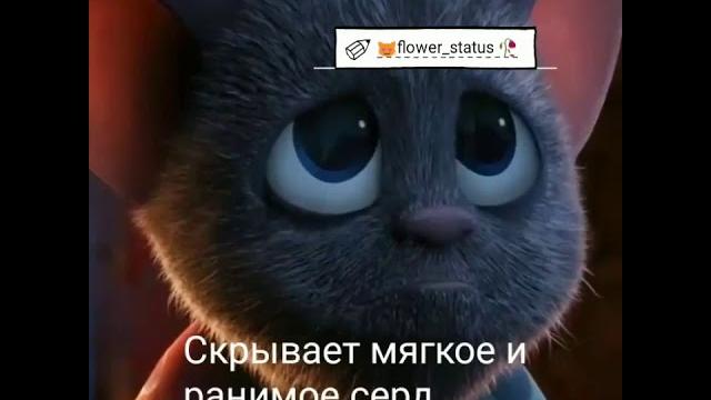 Видео для статуса. Очень ранимое Видео для статуса. Очень ранимое