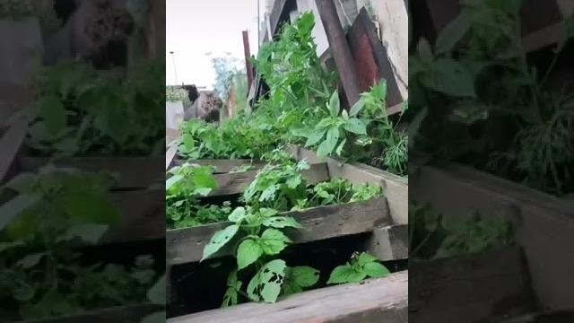 Красоты русской природы! Красоты русской природы!