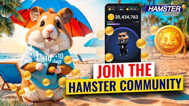 Hamster Kombat for New Players: Easy Start Guide ️ Hamster Academy Hamster Kombat for New Players: Easy Start Guide ️ Hamster Academy