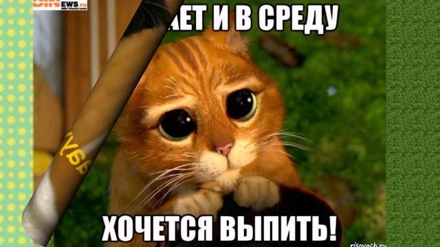 ПРИКОЛЬНОЕ ВИДЕО!!! С добрым утром! С началом рабочей недели! ПРИКОЛЬНОЕ ВИДЕО!!! С добрым утром! С началом рабочей недели!