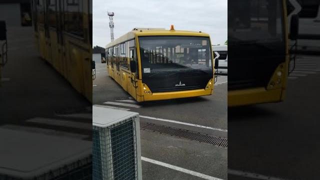 Что за странный желтый автобус? Что за странный желтый автобус?