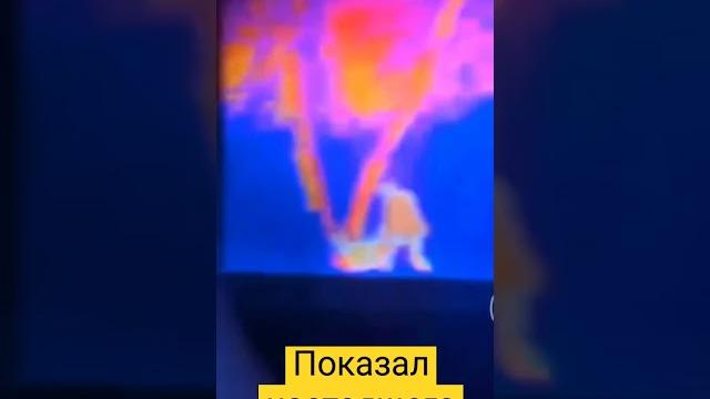 тепловизор , показал настоящего братишку=)) тепловизор , показал настоящего братишку=))
