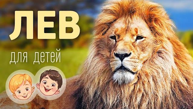 Лев. Видео про животных для детей 3+ Лев. Видео про животных для детей 3+