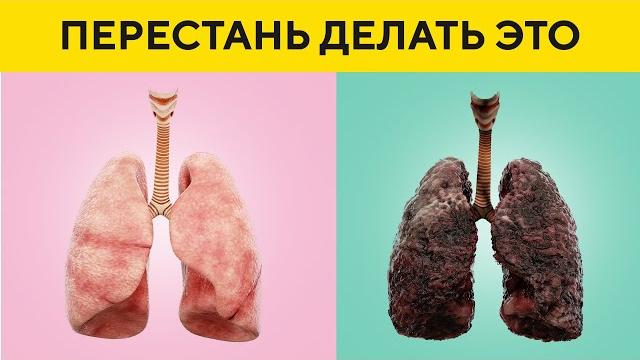 Что Происходит с Телом, Если Бросить Курить Что Происходит с Телом, Если Бросить Курить