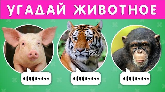 УГАДАЙ ЖИВОТНОЕ ПО ЗВУКУ УГАДАЙ ЖИВОТНОЕ ПО ЗВУКУ