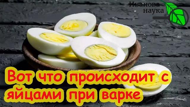 ПЕРЕСТАНЬТЕ ЕСТЬ ЯЙЦА неправильно! Вот почему яйца вызывают усталость и слабость. Правильная готовка ПЕРЕСТАНЬТЕ ЕСТЬ ЯЙЦА неправильно! Вот почему яйца вызывают усталость и слабость. Правильная готовка