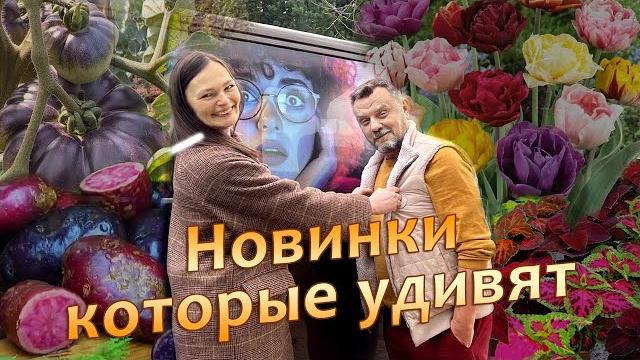 Необычные новинки, которые удивят в этом сезоне Необычные новинки, которые удивят в этом сезоне
