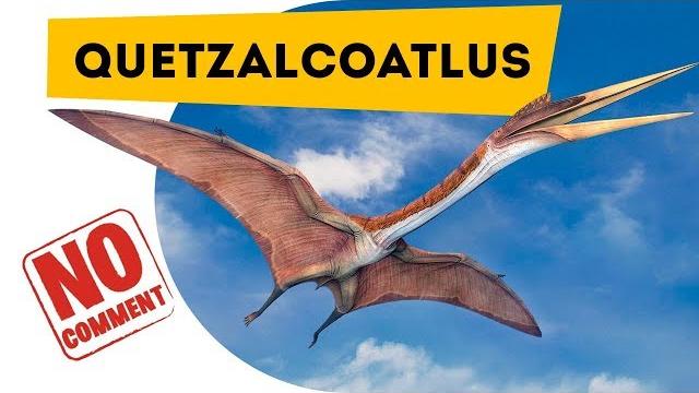 Очень грустный клип про динозавров. Птерозавры Кетцалькоатль Tribute to dinosaur Quetzalcoatl Очень грустный клип про динозавров. Птерозавры Кетцалькоатль Tribute to dinosaur Quetzalcoatl