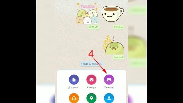 Как отправить видео через whatsapp Как отправить видео через whatsapp