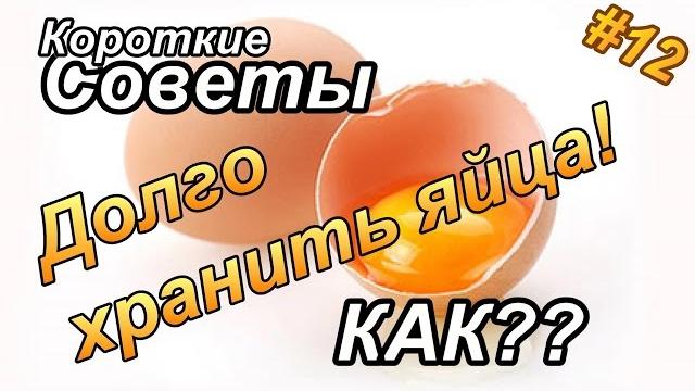 Как долго хранить яйца? Как долго хранить яйца?