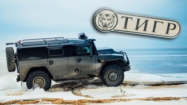 Тест-драйв от Давидыча. Тигр #СвободуЭрику Тест-драйв от Давидыча. Тигр #СвободуЭрику