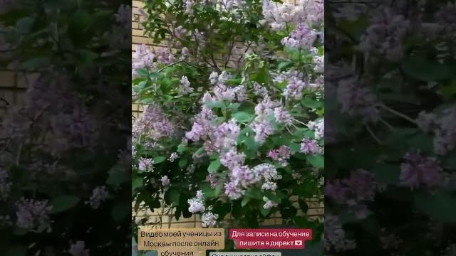 Видео на телефон моей ученицы из Москвы Видео на телефон моей ученицы из Москвы
