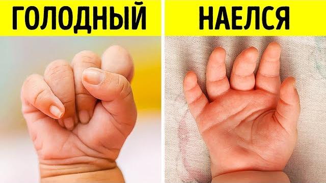 18 важных намеков, которые пытаются вам дать малыши 18 важных намеков, которые пытаются вам дать малыши