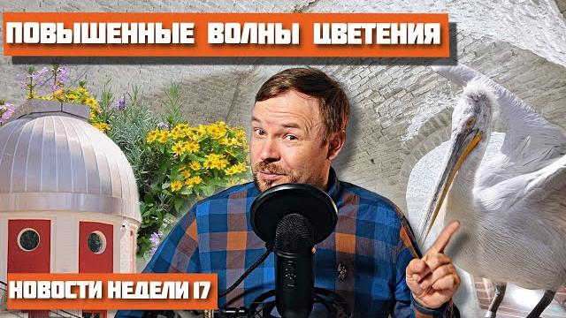 Речная навигация и отключение воды Речная навигация и отключение воды