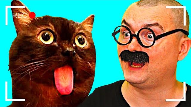 ЗАСМЕЯЛСЯ - ПОДПИСАЛСЯ! ВЕСЕЛЫЕ ВИДОСИКИ от ОЛЕЖЭ ЗАСМЕЯЛСЯ - ПОДПИСАЛСЯ! ВЕСЕЛЫЕ ВИДОСИКИ от ОЛЕЖЭ