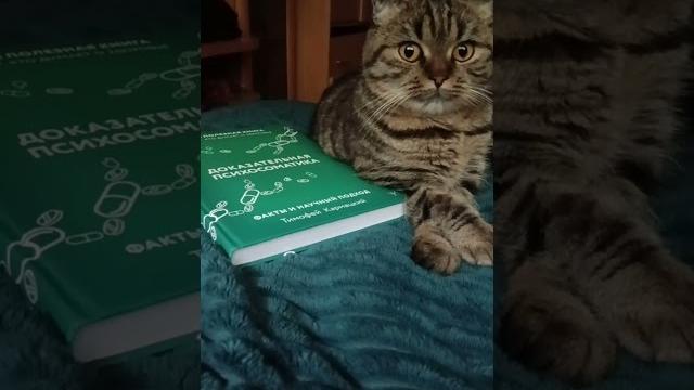 Хорошо,что мне всё объяснили,плохо,что я ничего не понял - #языкживотных #языкжестов #котученый #cat Хорошо,что мне всё объяснили,плохо,что я ничего не понял - #языкживотных #языкжестов #котученый #cat
