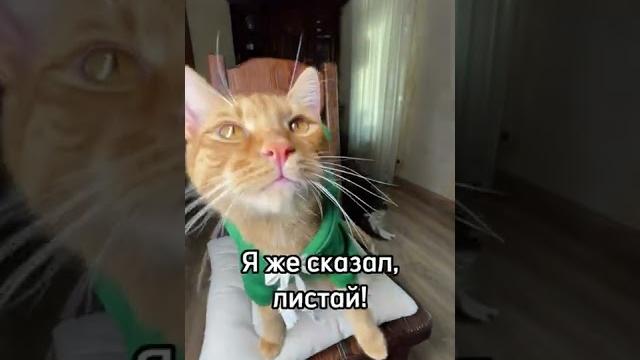 Это видео длится 3 секунды! Можешь листать Это видео длится 3 секунды! Можешь листать