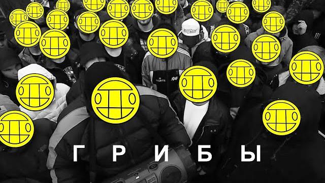 Грибы - Интро Грибы - Интро