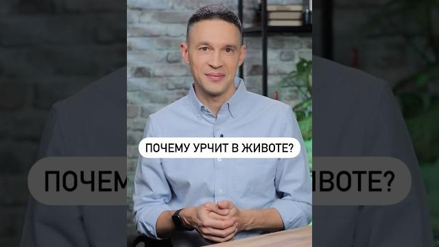 Почему урчит в животе? Почему урчит в животе?