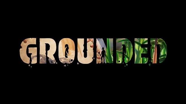 Какой fps в игре Grounded Какой fps в игре Grounded