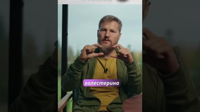 Самое не правильное, при высоком холестерине ! #здоровье #доктор #холестерин #сосуды #атеросклероз Самое не правильное, при высоком холестерине ! #здоровье #доктор #холестерин #сосуды #атеросклероз