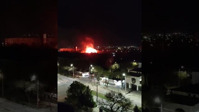 Ночью СГОРЕЛ зоопарк в Евпатории. Ночью СГОРЕЛ зоопарк в Евпатории.