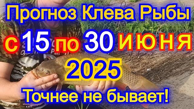 Календарь клева рыбы с 15 по 30 июня 2025 Прогноз клева рыбы Лунный Календарь рыбака 2025! Календарь клева рыбы с 15 по 30 июня 2025 Прогноз клева рыбы Лунный Календарь рыбака 2025!