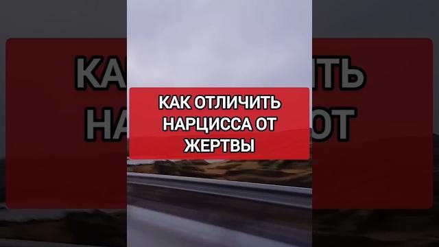 Вы научитесь безошибочно понимать, кто НАРЦИСС, а кто ЖЕРТВА #нарциссизм #отношенияснарциссом Вы научитесь безошибочно понимать, кто НАРЦИСС, а кто ЖЕРТВА #нарциссизм #отношенияснарциссом