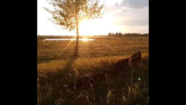 Весна разлив река ишим, село Гончаровка. Весна разлив река ишим, село Гончаровка.